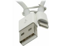 Apple MD819ZM/A Lightning to USB Cable 2м