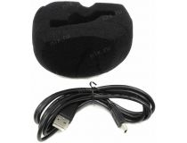 Zoom H5/RC , H5/GL , H5/220GE аудиорекордер (LCD, SDHC, USB2.0, 2xAA)