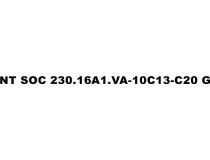 NT SOC 230.16A1.VA-10С13-С20 G Блок силовых розеток 19 , серый 1U, 10 розеток IEC-320-C13, вход IEC-320-C20