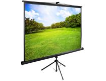 Экран Cactus TriExpert CS-PSTE-200х150-BK 