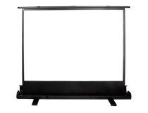 Экран Cactus 90x160см FloorExpert CS-PSFLE-160X90 16:9