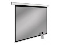 Экран Cactus SIlverMotoExpert CS-PSSME-240X150-WT 