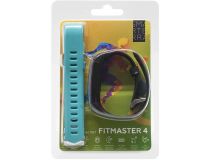 Smarterra FitMaster 4 SMFT-04BLGR  (0.96  180x120 IPS, BT)