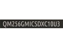 Qumo QM256GMICSDXC10U3 microSDXC 256Gb Class10 UHS-I U3 + microSD-- SD Adapter