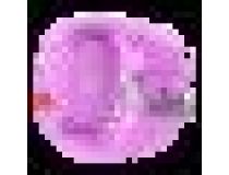 Умные часы AIMOTO KID EDINOROG 8001101 KNOPKA