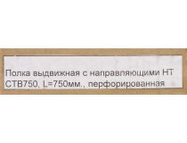 NT SSl750 G Полка 19 выдвижная с направляющими, серая L=750 мм, перфорированная